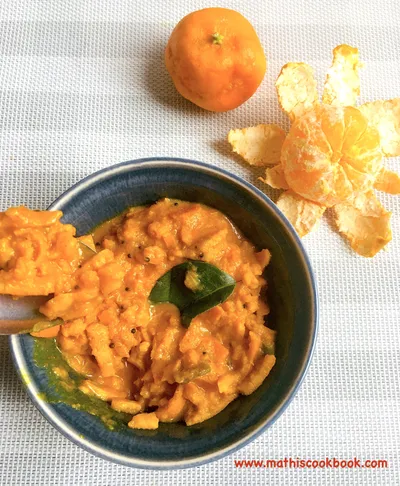 ORANGE SKIN/ PEEL PACHADI